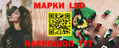 apvp Краснодар