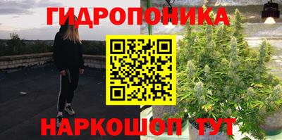 гидропоника Краснокаменск